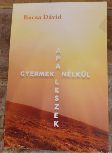 Bacsa D�vid - Apa leszek gyermek n�lk�l