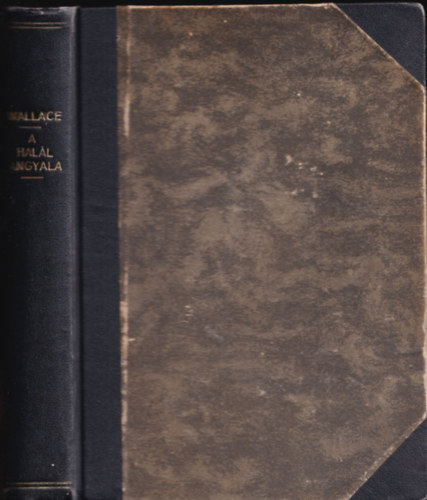 Edgar Wallace - A hal�l angyala