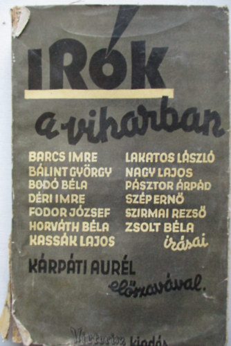 Irk a viharban