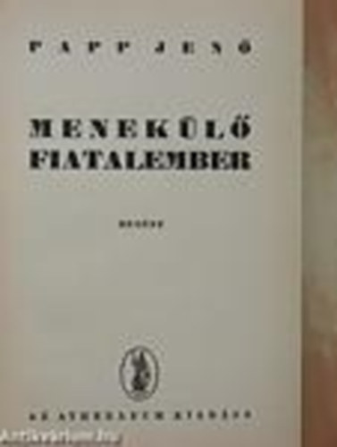 Papp Jenő - Menekülő fiatalember