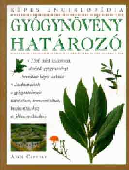 Andi Clevely - Gy�gyn�v�nyhat�roz�