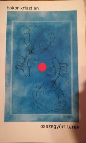 Bokor Krisztián - Összegyűrt terek
