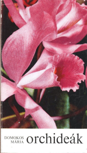 Domokos Mária - Orchideák