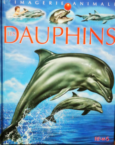 L'imagerie animale : les dauphins