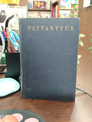 Dr. Pattanty�s �. G�za - Pattanty�s g�p�sz- �s villamosm�rn�k�k k�zik�nyve 7.