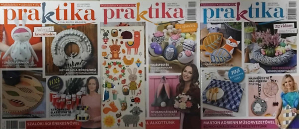Nincs feltüntetve - Praktika - A családi DIY magazin ( 3 db )