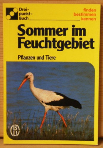 Ute E. Zimmer - Sommer im Feuchtgebiet