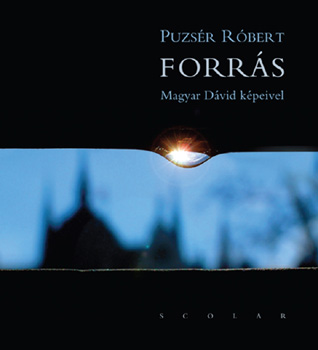 Puzs�r R�bert - Forr�s