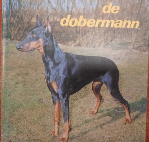 De dobermann