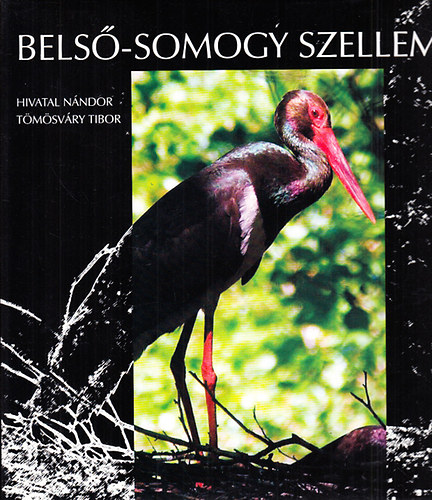 Hivatal Nándor; Tömösváry Tibor - Belső-Somogy szelleme