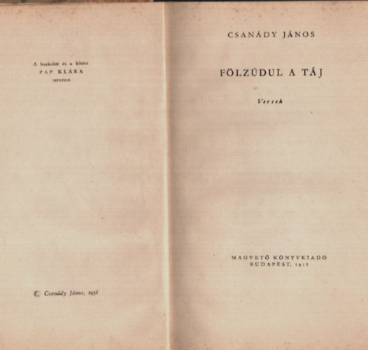 Csan�dy J�nos - F�lz�dul a t�j