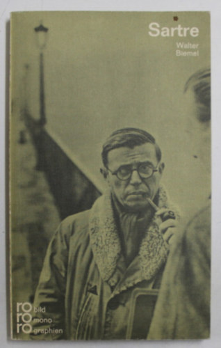 Walter Biemel - Sartre