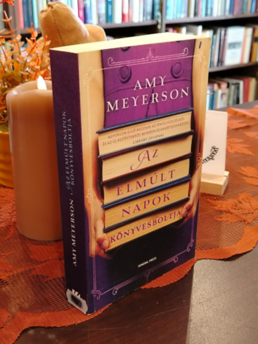 Amy Meyerson - Az elmúlt napok könyvesboltja