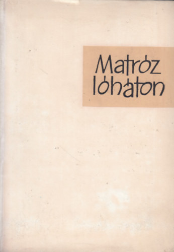 Irving Stone - Matrz lhton