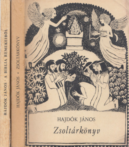 Hajdk Jnos - 2db m - Zsoltrknyv + A Biblia remekeibl