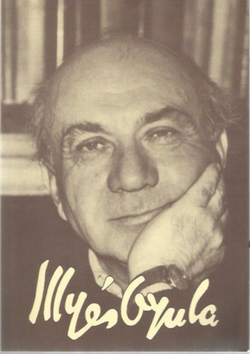 Márton János (szerk.) - Illyés Sándor emlékkönyv