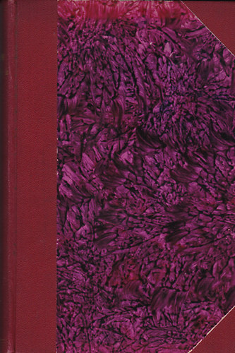 G�bor Andor - Untauglih �r- reg�ny az itthonmaradottakr�l