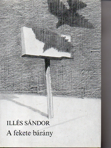 Ill�s S�ndor - A fekete b�r�ny