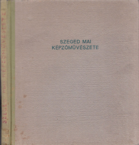 Krajk Andrs  (szerk.) - Szeged mai kpzmvszete