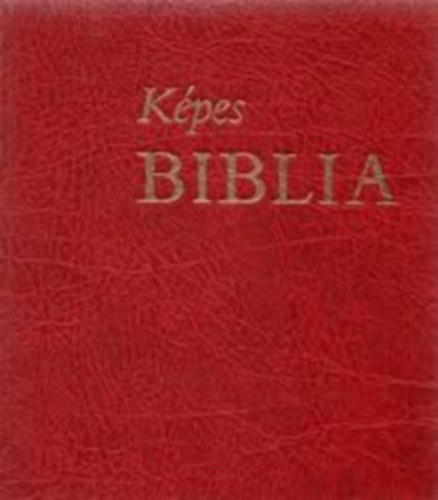 G. Perona-A. Scalfo-A Scarin - Kpes Biblia 2.