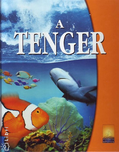 A tenger