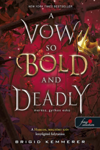 Brigid Kemmerer - A Vow So Bold and Deadly - Mer�sz, gyilkos esk�