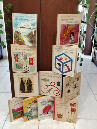 Bolg�r Gy�rgyi Julius Schwartz Megay L�szl� Berkes P�ter Kiss Tam�s Tasn�di Kubacska Andr�s Szalay L�szl� Dr. S�rv�ry Andr�s Kindzierszky Emil M�ndy Iv�n P�kolitz Istv�n - K�NYVMENT� AJ�NLAT, 11 DB. Gyerekk�nyvek. H�d a foly� felett, Mindennapi var�zslatok, Ezer mesters�g, V�rhat� id�j�r�s, A bagolyv�r �s lak�i, S�rk�nyok unok�i, Nyolcl�b� vad�szok, N�pek italai, Ez�stp�nc�los vit�zek, Hull�