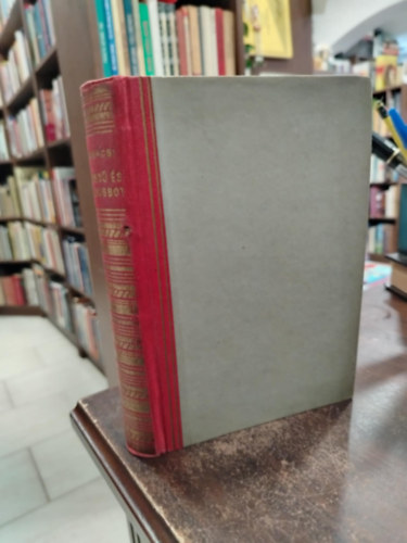 Mohcsi Jen - Heged s koldusbot - Rzsavlgyi Mrk letnek regnye