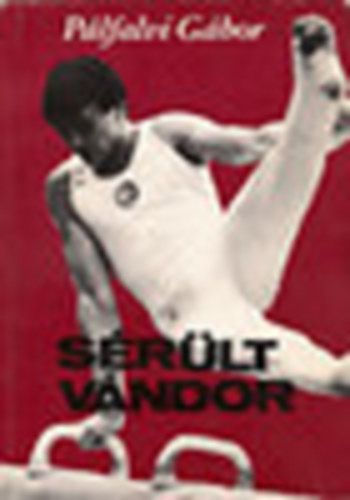 Pálfalvi Gábor - Sérült vándor (Borkai Zsolt)