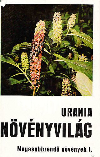 Danert-Fudarek-Hanelt-Helm-Kruse-Lehmann-Schultze - Növényvilág - Magasabbrendű növények I. (Urania)