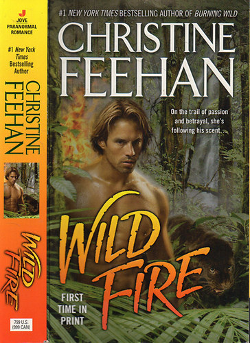 Christine Feehan - Wild fire