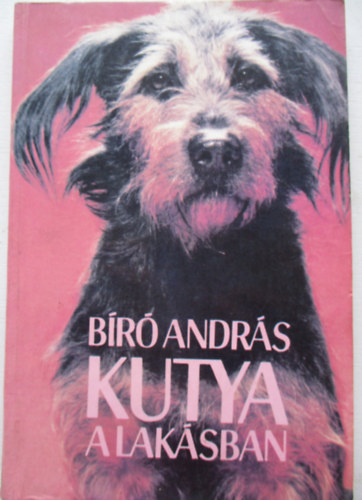 Br Andrs - Kutya a laksban