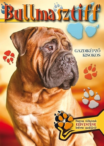 Bullmasztiff - Gazdikpz kisokos