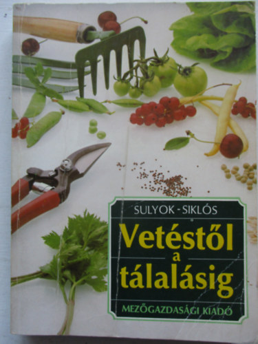 Sulyok-Sikl�s - Vet�st�l a t�lal�sig