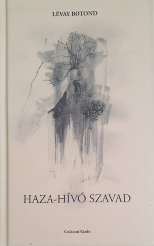 Lvay Botond - Haza-hv szavad