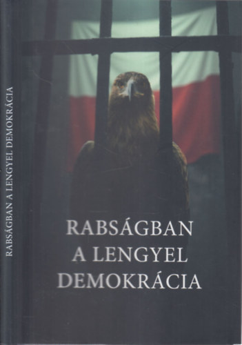 Rabsgban a lengyel demokrcia (Lengyelorszg a "december 13-i" koalci alatt)