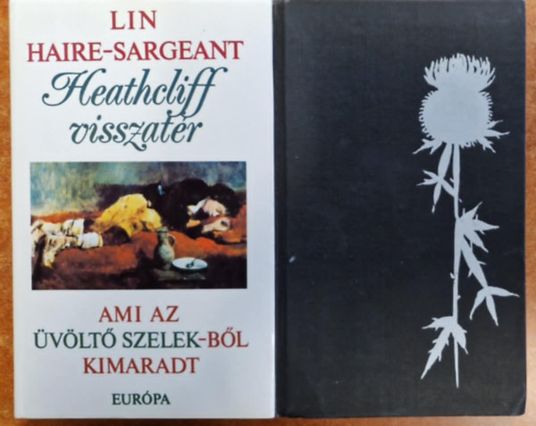 Lin Haire-Sargeant Emily Bronte - vlt szelek + Heathcliff visszatr - Ami az vlt szelekbl kimaradt - 2 m