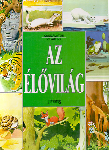 Ballr Judit - Tony Wolf - Az lvilg