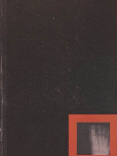 Ndas Pter - Prhuzamos trtnetek: A nma tartomny