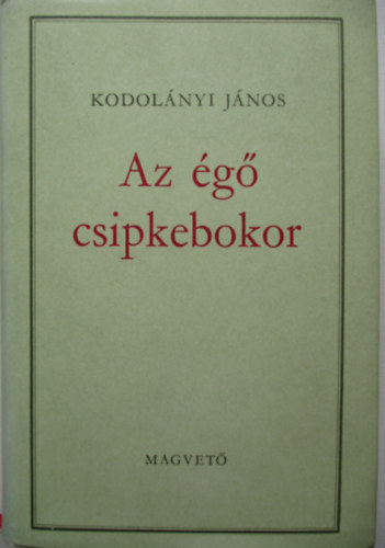 Borisz Vasziljev - Az �g� csipkebokor