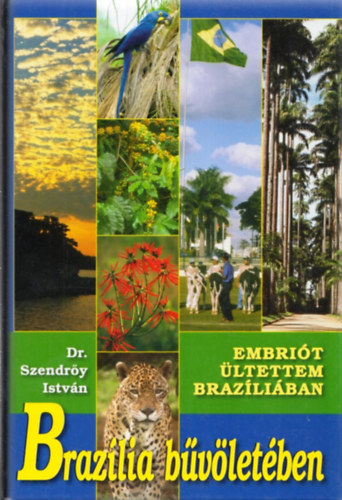 Szendrőy István - Brazília bűvöletében