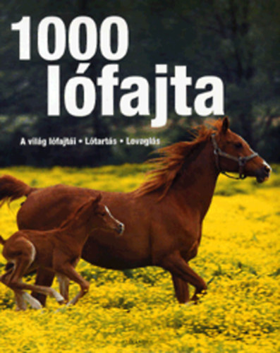 Ulrike Schber - 1000 lfajta