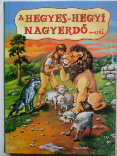 Pt Judit - A hegyes-hegyi nagyerd mesi