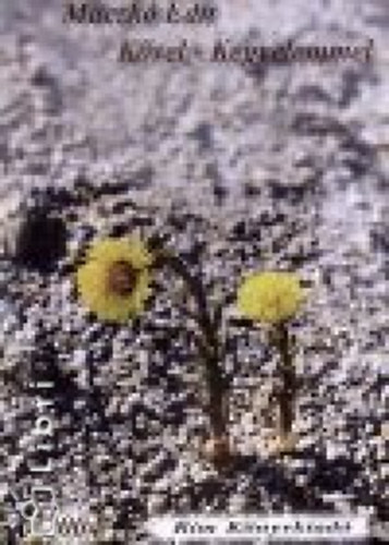 Maczk Edit - Kvel - Kegyelemmel