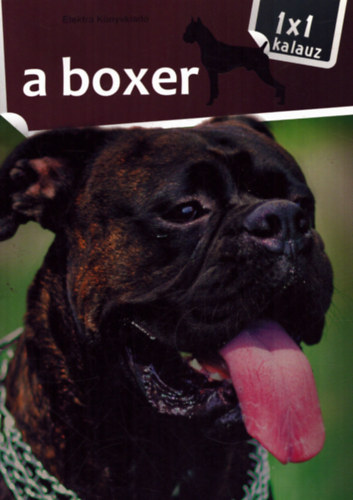 A boxer - 1X1 kalauz