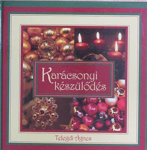 Telegdi �gnes - Kar�csonyi k�sz�l�d�s