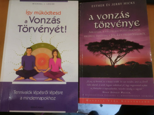 Michael J. Losier Esther és Jerry Hicks - 2 db A vonzás törvénye + Így működtest a Vonzás Törvényét!