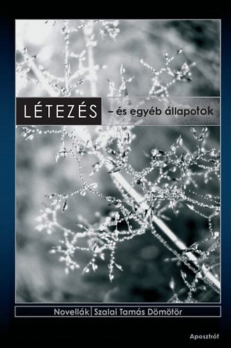 Szalai Tamás Dömötör - Létezés - és egyéb állapotok