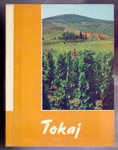 Tzsa Istvn  (szerk.) - Tokaj (2., tdolgozott kiads, kpeslap mellklettel)