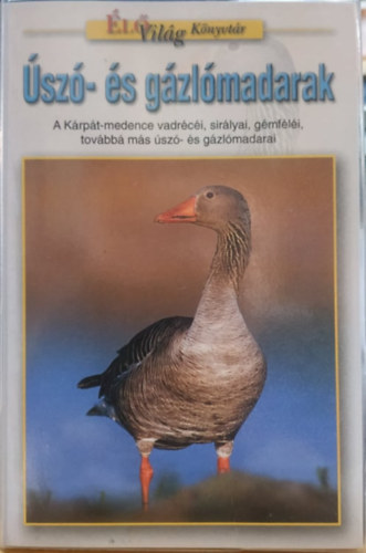 Bhm Andrs - sz- s gzlmadarak - lvilg knyvtr